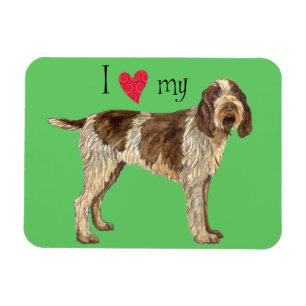 I Love my Spinone Italiano Magnet