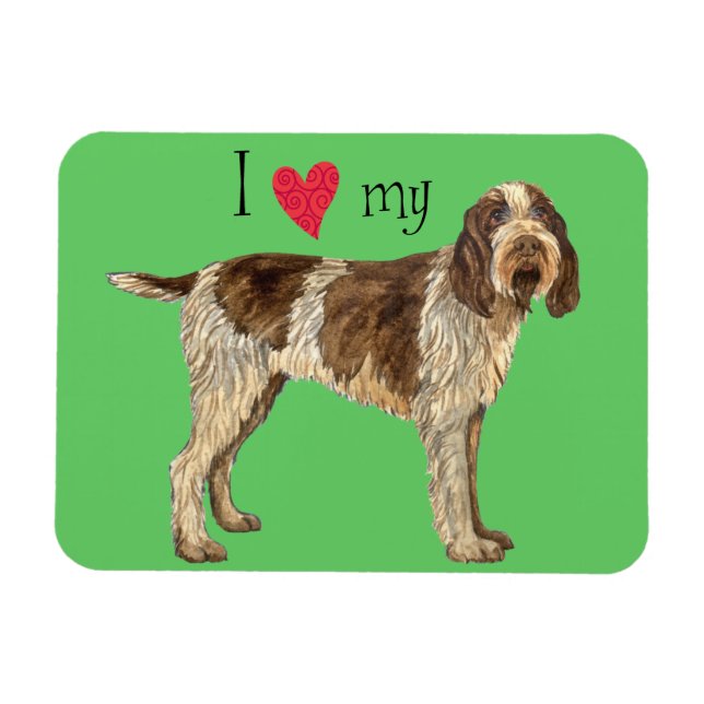 I Love my Spinone Italiano Magnet (Horizontal)