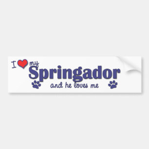 I Love My Springador (Male Dog) Bumper Sticker