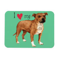 I Love my Staffordshire Bull Terrier