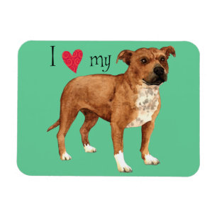 I Love my Staffordshire Bull Terrier Magnet