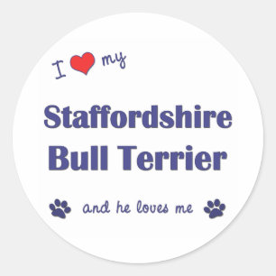 I Love My Staffordshire Bull Terrier (Male Dog) Classic Round Sticker