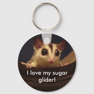 I love my sugar glider! keychain