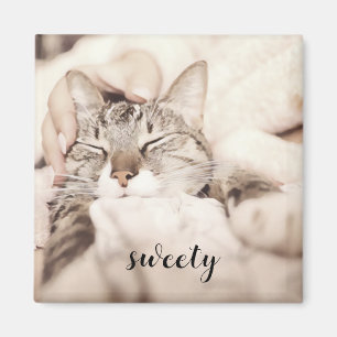 I love my sweet little cat photo magnet