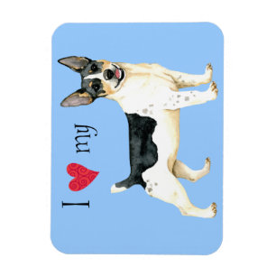 I Love my Teddy Roosevelt Terrier Magnet