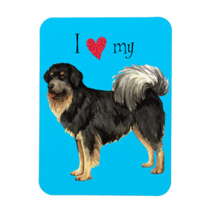 I Love my Tibetan Mastiff Magnet