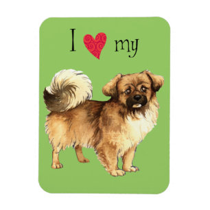 I Love my Tibetan Spaniel Magnet