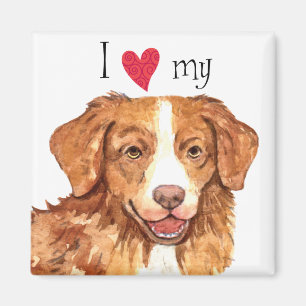 I Love my Toller Magnet