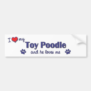 I Love My Toy Poodle (Male Dog) Bumper Sticker