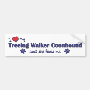 I Love My Treeing Walker Coonhound (Female Dog) Bumper Sticker