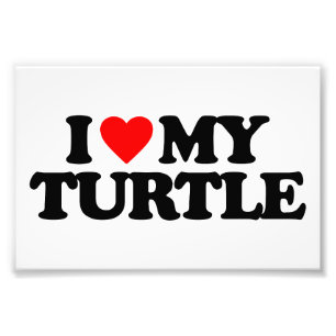 I LOVE MY TURTLE PHOTO PRINT