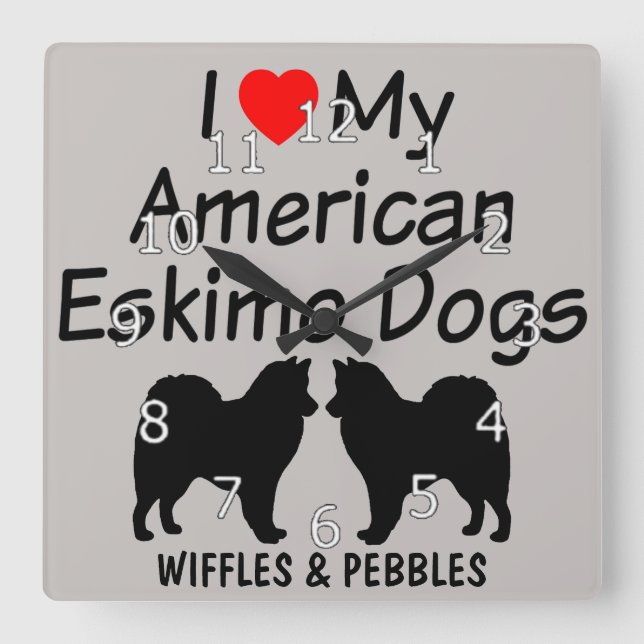 I Love My Two American Eskimo Dogs Square Wall Clock (Front)