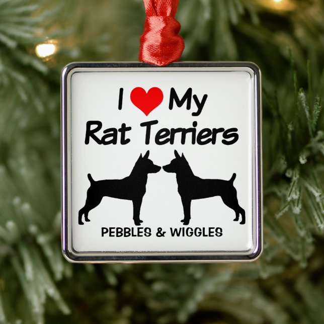 I Love My Two Rat Terrier Dogs Metal Ornament (Tree)