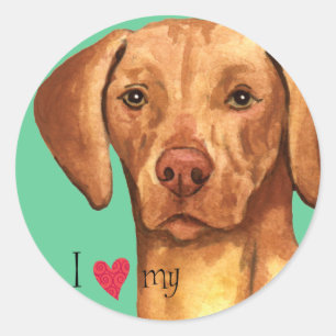 I Love my Vizsla Classic Round Sticker