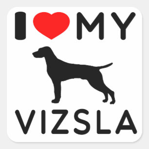I Love My Vizsla. Square Sticker