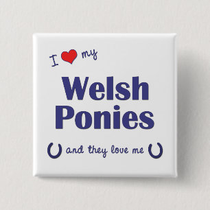 I Love My Welsh Ponies (Multiple Ponies) 15 Cm Square Badge