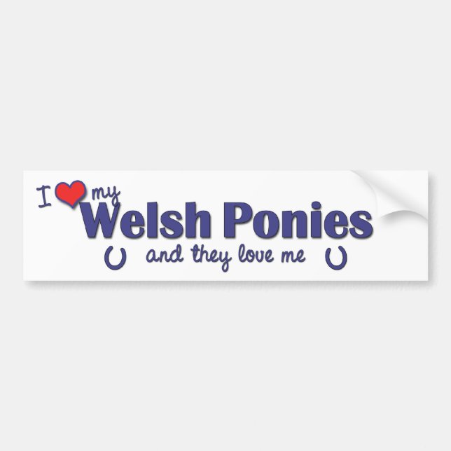 I Love My Welsh Ponies (Multiple Ponies) Bumper Sticker (Front)