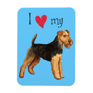 I Love my Welsh Terrier Magnet