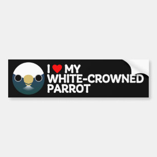 I LOVE MY WHITE-CROWNED PARROT BUMPER STICKER