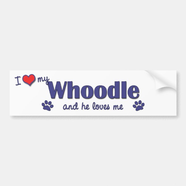 I Love My Whoodle (Male Dog) Bumper Sticker (Front)