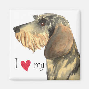 I Love my Wirehaired Dachshund Magnet