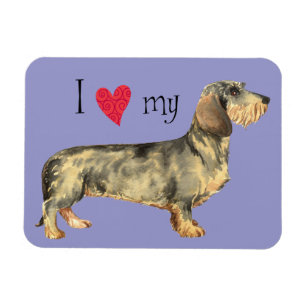I Love my Wirehaired Dachshund Magnet