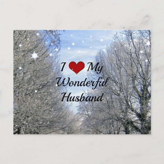I Love My Wonderful Husband (larger text) Postcard (Front)