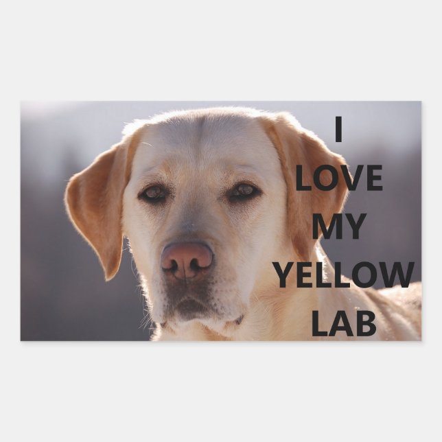 I Love My Yellow Lab with Picture Rectangular Sticker (Front)