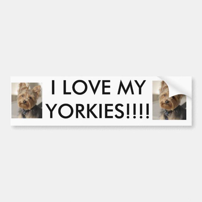 I LOVE MY YORKIES!!!! BUMPER STICKER (Front)