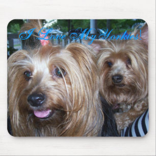 I Love My Yorkies Mouse Pad