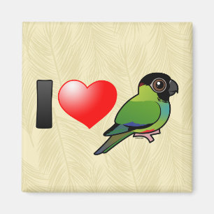 I Love Nanday Conures Magnet