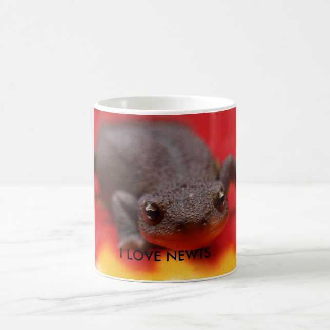 I Love Newts Coffee Mug (Center)