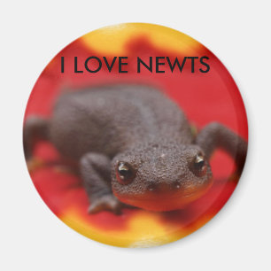 I Love Newts Magnet