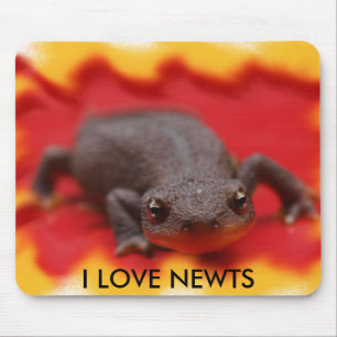 I Love Newts Mouse Pad
