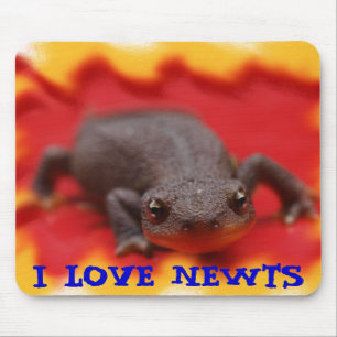 I Love Newts Mouse Pad