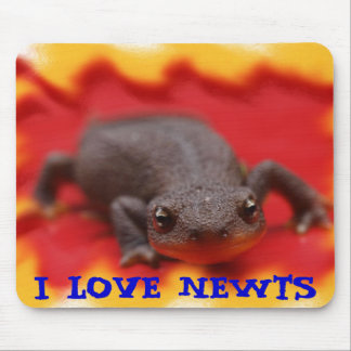 I Love Newts Mouse Pad