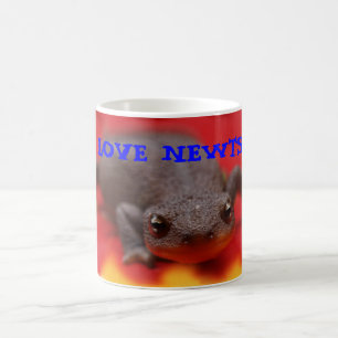 I Love Newts Mugs