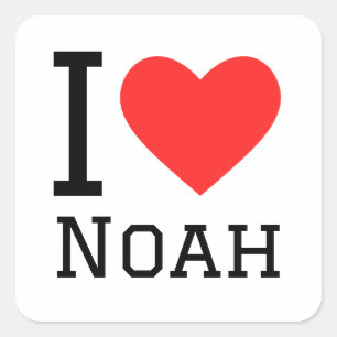 I love Noah Square Sticker