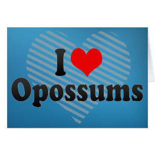 I Love Opossums