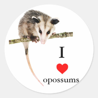 I Love Opossums Sticker