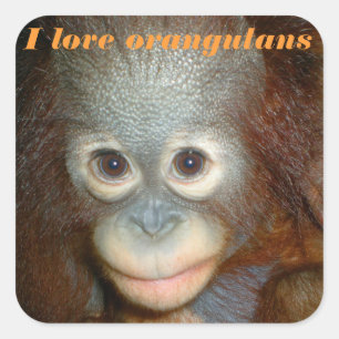I Love Orangutan Square Sticker