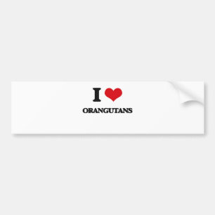 I love Orangutans Bumper Sticker
