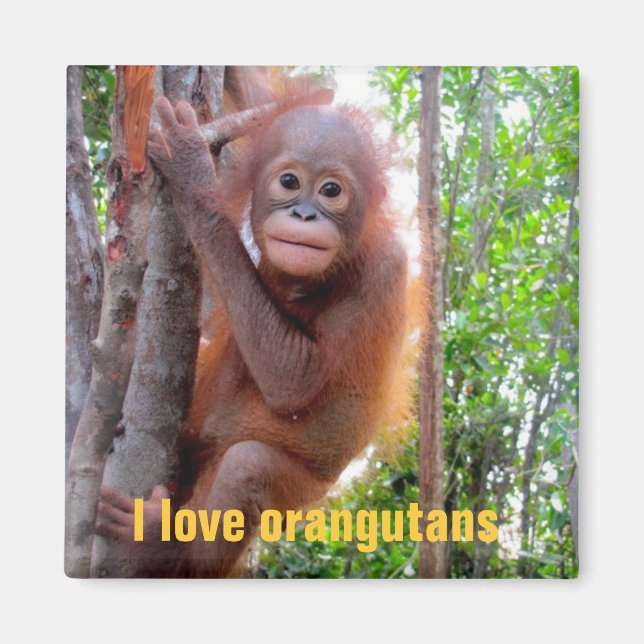 I Love Orangutans with Baby Uttuh Magnet (Front)