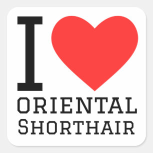 I love oriental shorthair square sticker