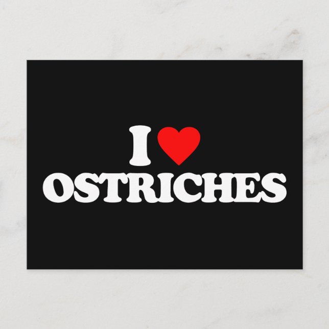 I LOVE OSTRICHES POSTCARD (Front)