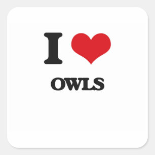 I love Owls Square Sticker
