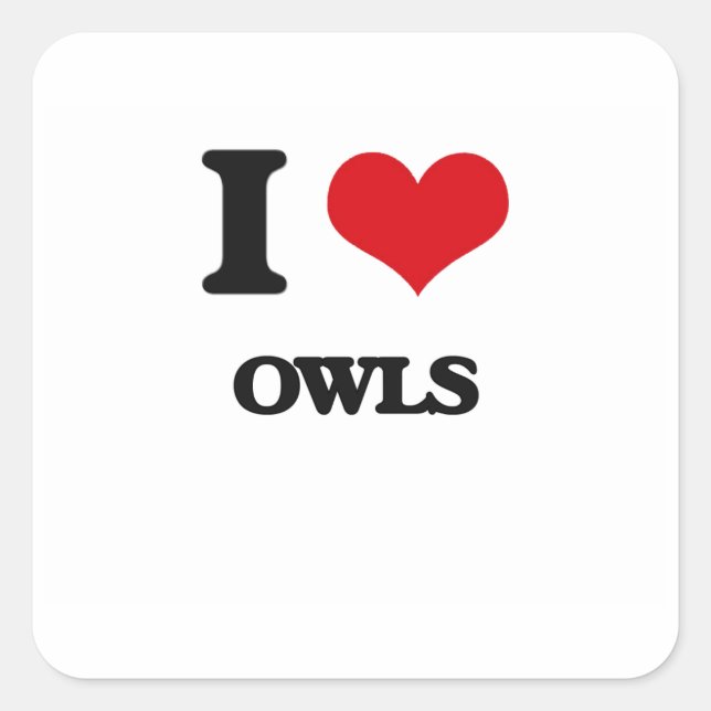 I love Owls Square Sticker (Front)