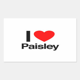 i love paisley rectangular sticker