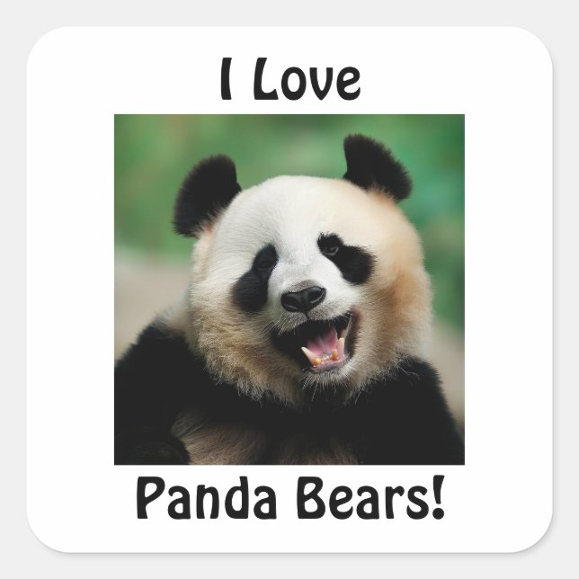 I Love Panda Bears Square Sticker (Front)