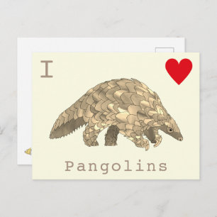 I Love Pangolins rare wildlife slogan Postcard